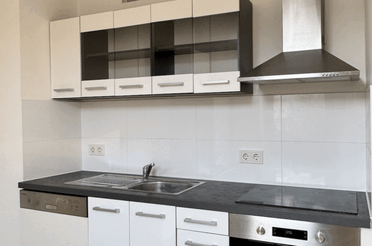 sanierte, ruhige Altbauwohnung mit Parkblick zum Soforteinzug